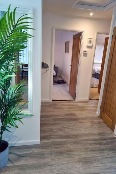 Spacious Home With Panoramic Sea View, Free Parking Ev & Large Garden Mousehole Exterior foto